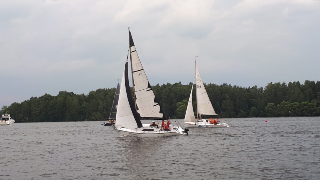 регата для руководителей